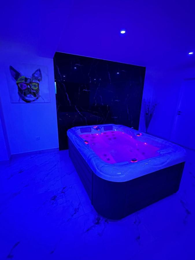 Appartement Cosy Jacuzzi Spa 70M2 Châtenois Εξωτερικό φωτογραφία